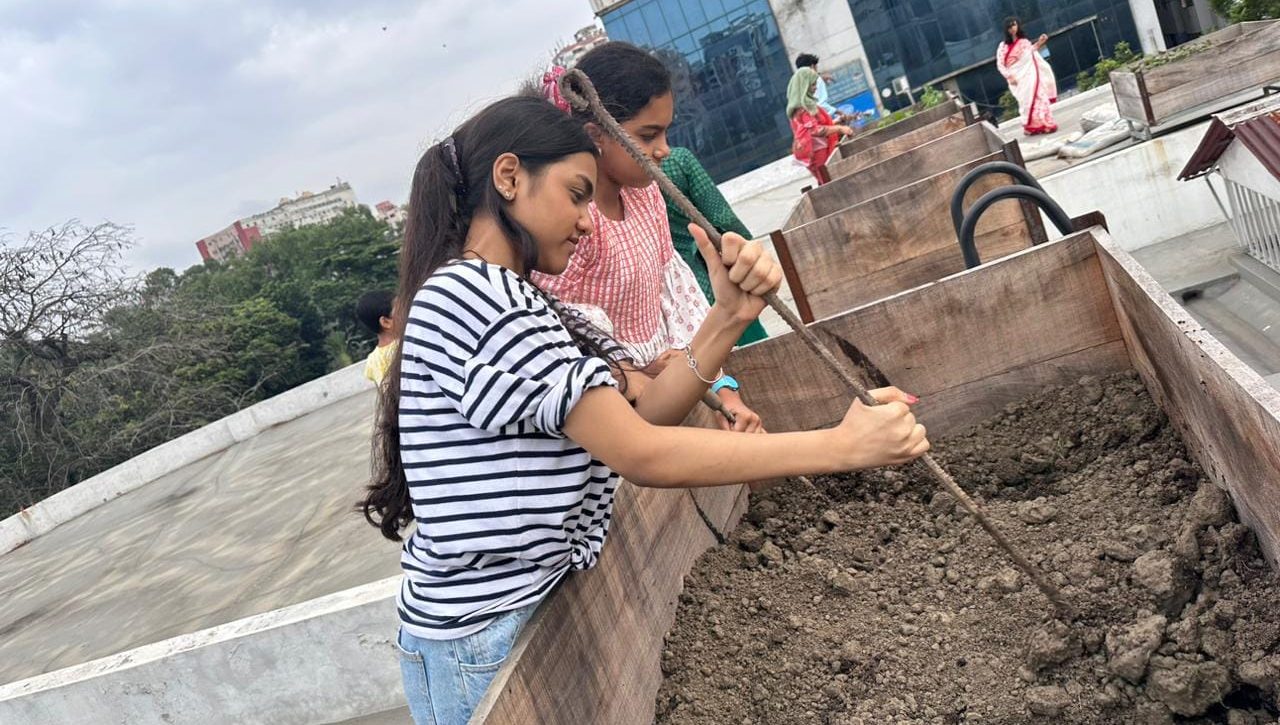 rooftop gardening (10)