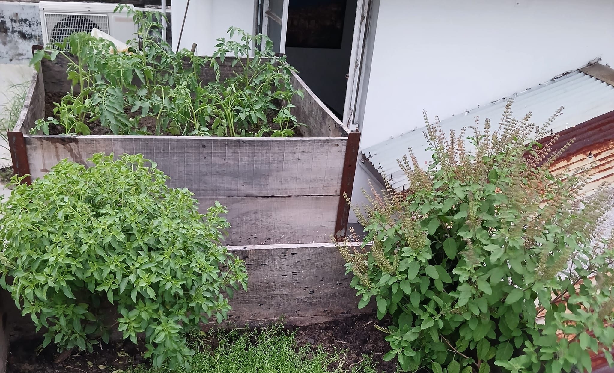 rooftop gardening (12)