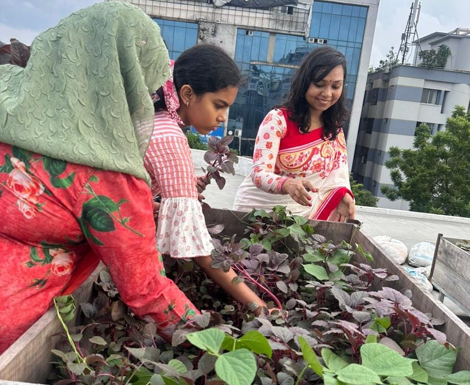 rooftop gardening (8)